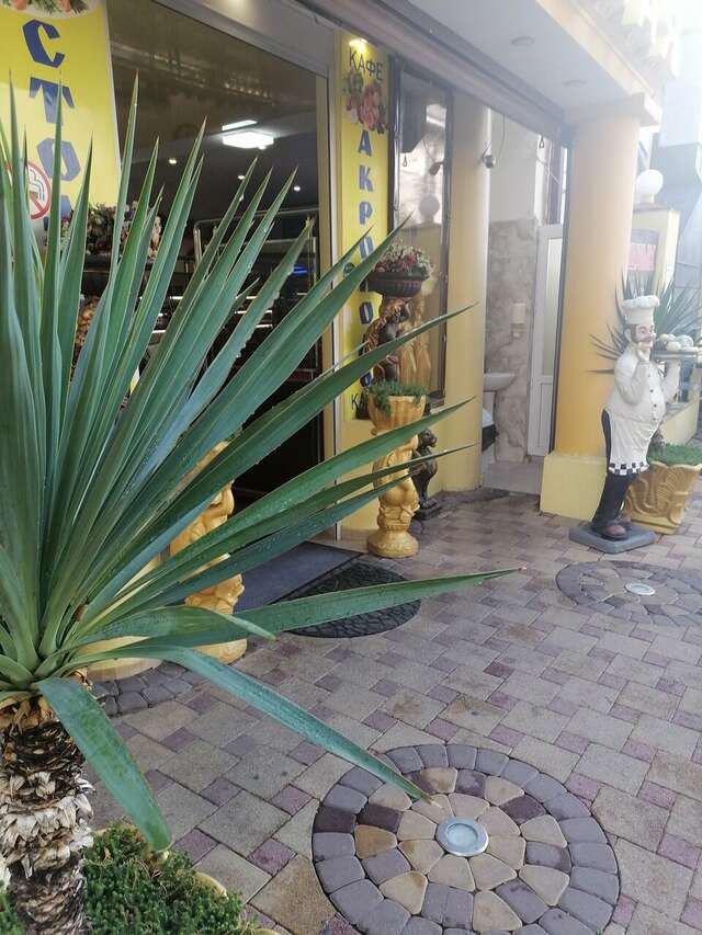 Гостиница Акрополь Дивноморское-52